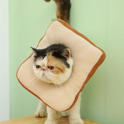 Cat Cone Collar Soft