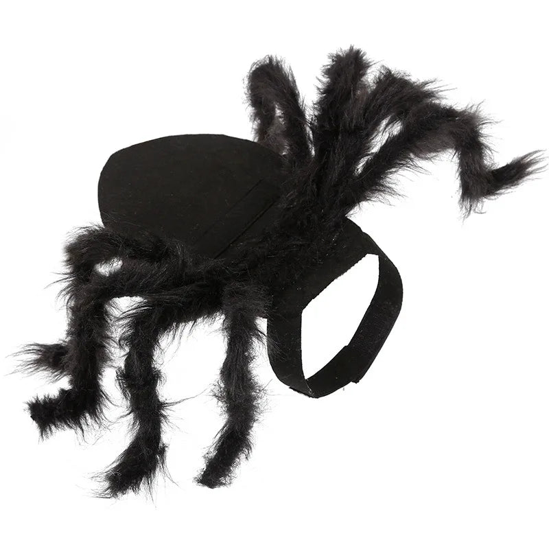 Funny Spider Halloween Costume