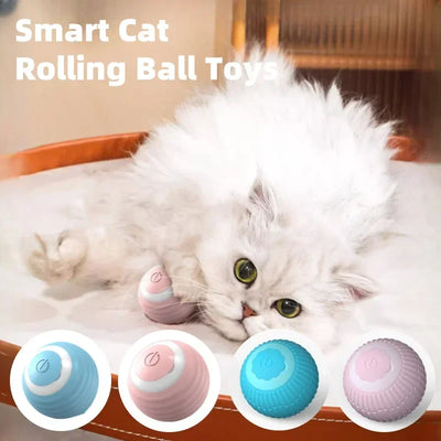 WhirlPaw Smart Motion Ball