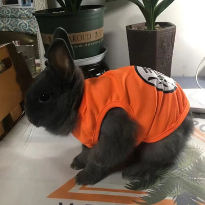 Cat's Summer Vest
