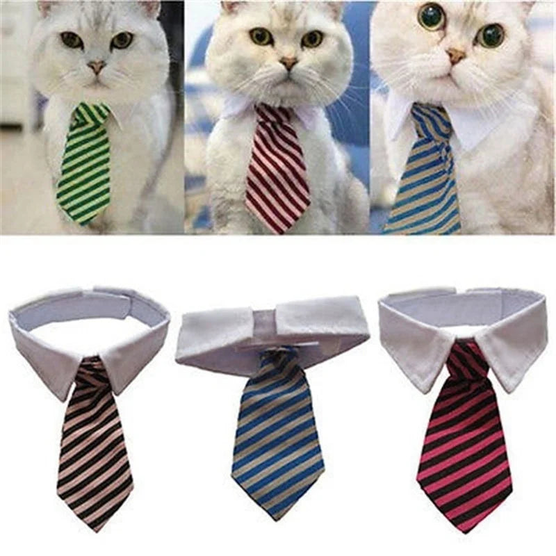 StripeCharm Pet Bow Tie Collar