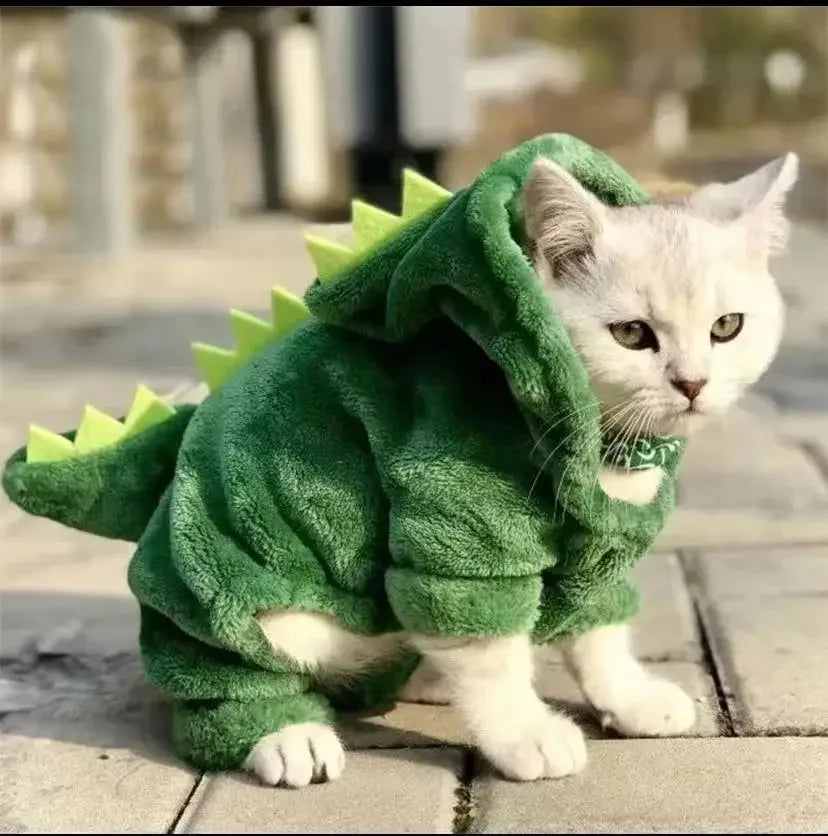 Funny Dinosaur Halloween Costume
